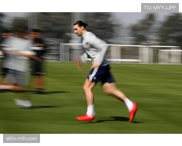 刚刷到伊布拉希莫维奇的鞋柜，几双鞋就能付我家两年房贷